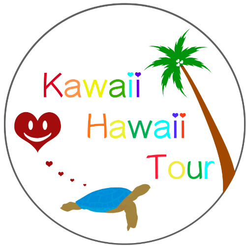 会社概要 Kawaiihawaiitour